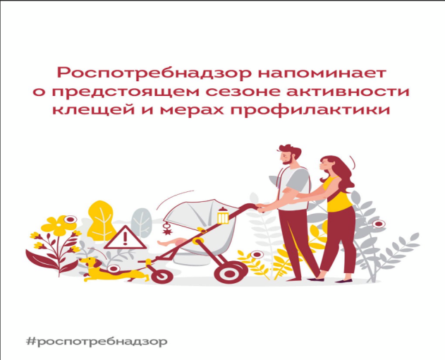 Профилактика КВЭ Профилактика КВЭ.